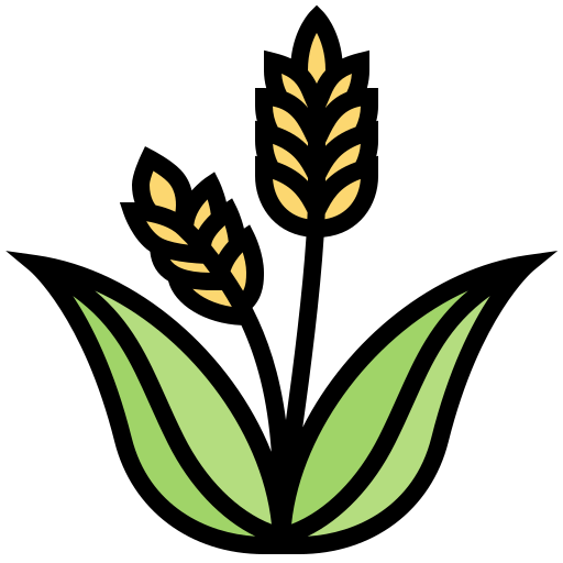 our expertise image
